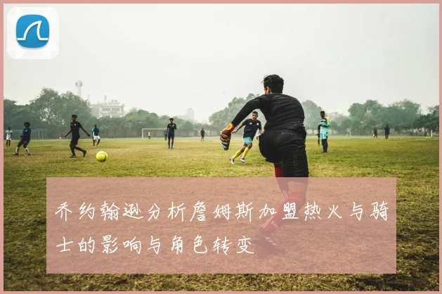 乔约翰逊分析詹姆斯加盟热火与骑士的影响与角色转变