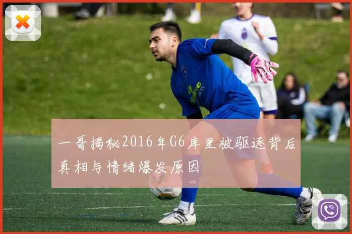 一哥揭秘2016年G6库里被驱逐背后真相与情绪爆发原因