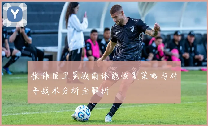 张伟丽卫冕战前体能恢复策略与对手战术分析全解析